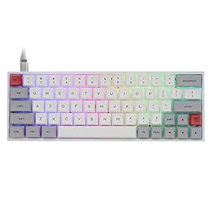 EPOMAKER SKYLOONG SK64 64 Keys Hot Swappable Mechanical Keyboard with RGB Backlit, PBT Keycaps, Arrow Keys for Win/Mac…