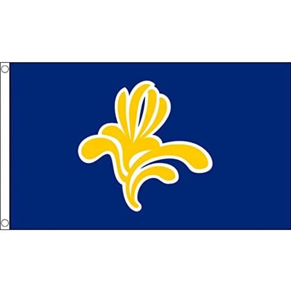 AZ FLAG - Brussels-Capital Region Flag - 3x5 Ft - 100D Polyester Bruxelles-Capitale Banner with Two Metal Grommets - Fade Resistant - Vivid Colors - 3' x 5' Feet - 150x90 Cm