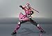 Bandai Tamashii Nations Raia 