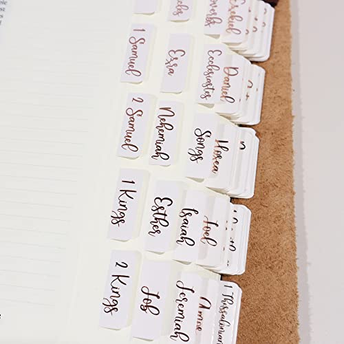 Idyllic Grace Creamsicle Bible Tabs Bronze Foil Bible