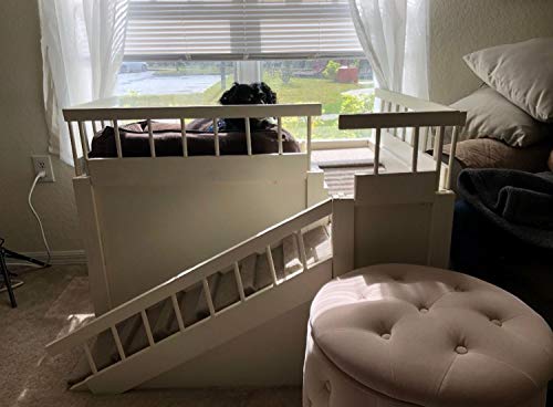 raised dog bed for window