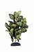 Marina Fish Tank Decorations, Ecoscaper Lobelia Silk Plant, 8-Inch