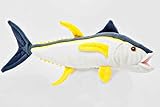 Yellowfin Tuna 10