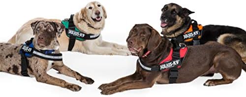 julius k9 harness fitting instructions