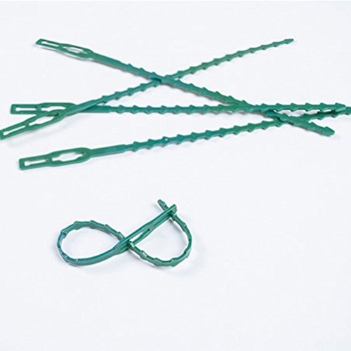Exttlliy Plastic Reusable Adjustable Garden Plant Twist Tie Gardening Flexible Vines Tie for Garden Home Use Green (10Pcs)