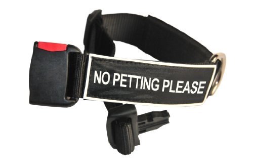 Dean and Tyler "Patch Collar", Nylon Dog Collar with NO PETTING PLEASE Patches - Black - Size: Small - Fits Neck 18-Inch to 21-Inch