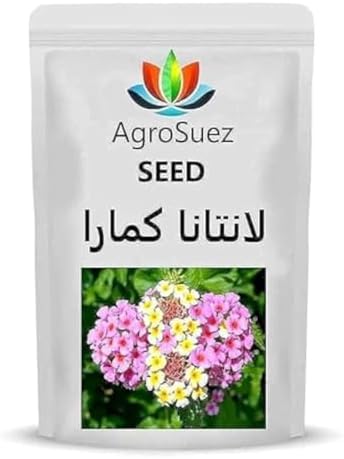 best fertilizer for rose plant Jackson & Perkins&reg; Dynamite&trade; Select Rose Fertilizer  Wayside  Gardens