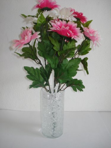 6 Promotion+Free+Crystal+Accents+Cracked