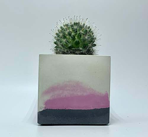 Amazon.com: Square 3 inch cement flower pot: Handmade