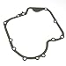Briggs & Stratton 697110 Crankcase Gasket 015 primary