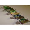 5-L5BS-Custom-Shad-Lures-Plugs-Crankbaits-Bass-Fishing-Set 5-L5BS-Custom-Shad-Lures-Plugs-Crankbaits-Bass-Fishing-Set