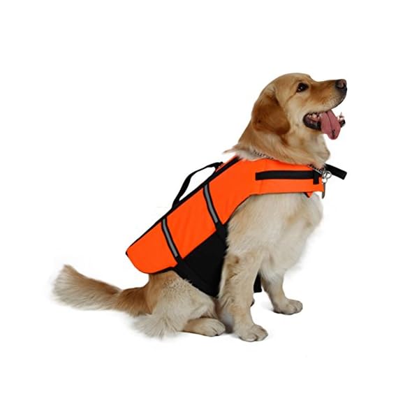 UEETEK Cane Giubbotto Salvagente Riflettente Gilet di Salvataggio per Cane Medio 9-23kg Taglia M Arancione - immagine 5