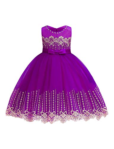 LIEEN Kids Purple Dress, Little Girls Tutu Dresses Sleeveless Lace 3D Embroider Party Holiday Flutter Ruffle Floor Length Gorgeous Crinoline Netting Gowns Size(100) 2-3 Years