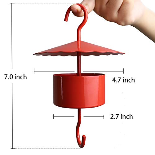 Extra Large Hummingbird Feeder Insect_Guard Ant_Moat for Wildlife