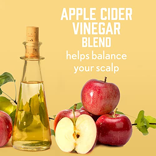 Aveeno Apple Cider Vinegar Shampoo + Conditioner for Balance & High