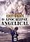 Livro O Apocalipse Angelical