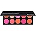 BH Cosmetics 10 Color Professional Blush Palette