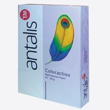 Image colouraction Coloured Paper Tundra/Lavendel