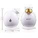 Facial Steamer KINGDOMBEAUTY Hot Mist Moisturizing Face Steamer Warm Mist Personal Sauna SPA Unclogs Pores Blackheads Acne Skin Cares Atomizer Humidifier Ionic Sprayer Golden