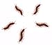 LovesTown Fake Centipedes Simulated Insect Prank Toy Centipedes Toy Joke Toys Halloween Party Supplies 50Pcs
