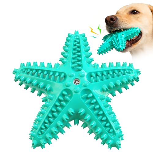 Whiskopia Floating Squeaky Starfish Toy