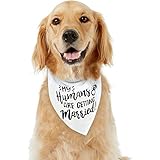 My Humans are Getting Married Dog Bandana, Wedding Dog Bandana, Dog Engagement Announcement, Wedding Photo Prop, Pet Scarf, Pet
