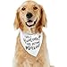 My Humans are Getting Married Dog Bandana, Wedding Dog Bandana, Dog Engagement Announcement, Wedding Photo Prop, Pet Scarf, Pet