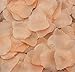 123Zero Artificial Silk Rose Flower Petals （2000 Pcs for Party and Weeding Bridal Decoration (Champagne)
