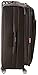 Delsey Luggage Helium Cruise 29 Inch EXP Spinner Suiter Trolley, Black, One Size