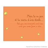 Walls 360 Peel & Stick Wall Decal: Le Petit Prince 'You Came From a Star' (10 in x 12 in)