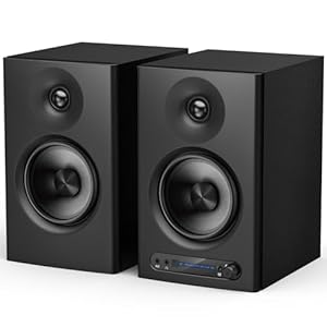 YOPIN モニタースピーカー Bluetooth 5.4 3つのモード 切替可能 4インチミッドベーススピーカー (ブラック)