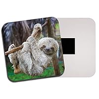 Destination Vinyl Ltd Cute Baby Sloth Fridge Magnet - Animal Wild Lazy Boys Son Brother Gift #13048