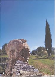 Les  Étrusques en France