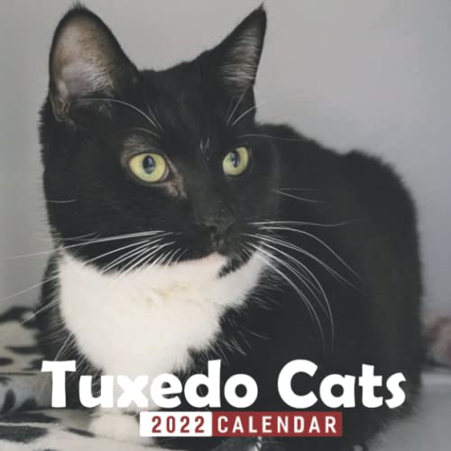 2022 Tuxedo Cats Calendar: January 2022 - December 2022 OFFICIAL Squared  Monthly Calendar, 12 Months | BONUS 4 Months 2021 on Galleon Philippines