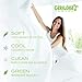 Cariloha Classic Bamboo Sheets 4 Piece Bed Sheet Set - Softest Bed Sheets and Pillow Cases - Lifetime Protection (Queen, Ivory)