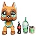 Judylovelps lps Great Dane Mask Custom Tan and Brown Green Snow Eyes Great Dane Dog with lps Accessories Coffee Drinks Cola Kids Gift