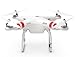 DJI Phantom 2 Quadcopter (White)