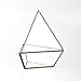 NCYP Small Three Sides Glass Geometric Terrarium for Succulent Fern Air Plants, Modern Handmade Garden Balcony Display Flower Pot, Home Decor Container (No Plants Included)