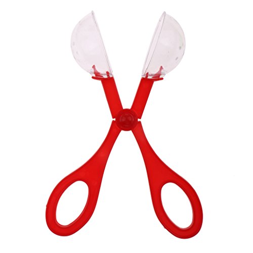 image for B Blesiya 6Pcs 18.5cm Reptile Catch Clamp Clip Feeding Clamp Litter Po