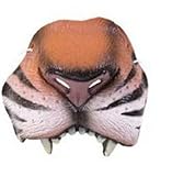 Jungle Tiger Nose