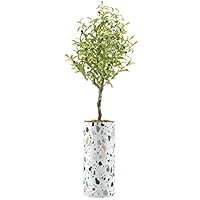 SIGNWIN Olive Tree with Navy Blue, Tan & White Fleck Paint Vase Geometric Shapes Minimalism Zen Relax/Calm Multicolor Ultra for Living Room, Bedroom, Office - X-Large 5 Feet (60