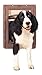 PetSafe Pet Door, Large