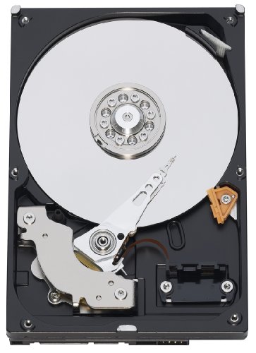 Western Digital RE2 (160 GB)