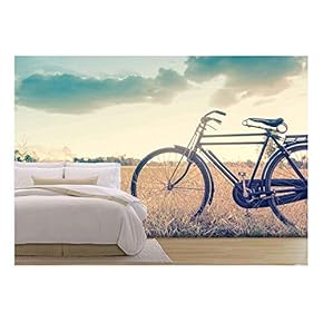 Beautiful Landscape Image with Bicycle in Vintage Tone Style - Removable Wall Mural | Self-Adhesive Large Wallpaper - 66x96 inches