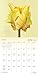 Bloom 2017 Wall Calendar: Flower Photography by Ron Van Dongen