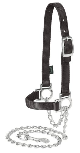 Weaver Leather Livestock Nylon Adjustable Sheep Halter with Chain Lead
