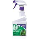 BONIDE PRODUCTS INC 2761 Ready to Use Punch Stop Suckers Sprouting from Roots and Pruning Cuts, 16 oz