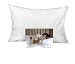 KP Linen 2 Set Kids Toddler Travel Pillow Cases 100% Egyptian Cotton - Pillows Sized 14" x 20", Zipper Closure White Solid