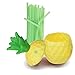 Hogue WS LLC Plastic Pineapple Luau Cups for Fun Hawaiian Children's Parties – Bulk 12 Pack – Includes Straws – Tiki Beach Theme Party Supplies (1 Dozen)