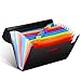 File Folders, VEYETTE Colored 12-Pocket Expanding File Folder with Tags and Closure for Classroom, Home, Office and Travel Use, A4 Size and Letter Size